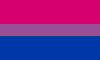 2560px-Bisexual_Pride_Flag.svg.png