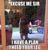 excuse-me-sir-i-have-a-plan-i-need-your-leg.jpg