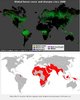 Deforestation & 79 Countries.jpg