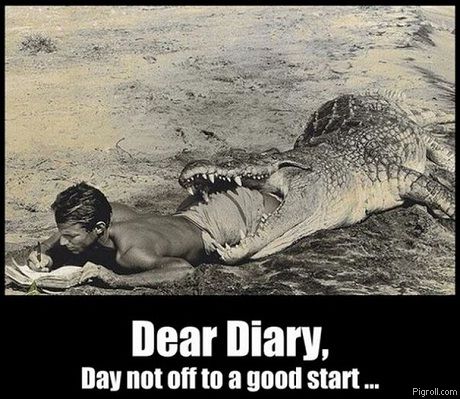 dear_diary.jpg