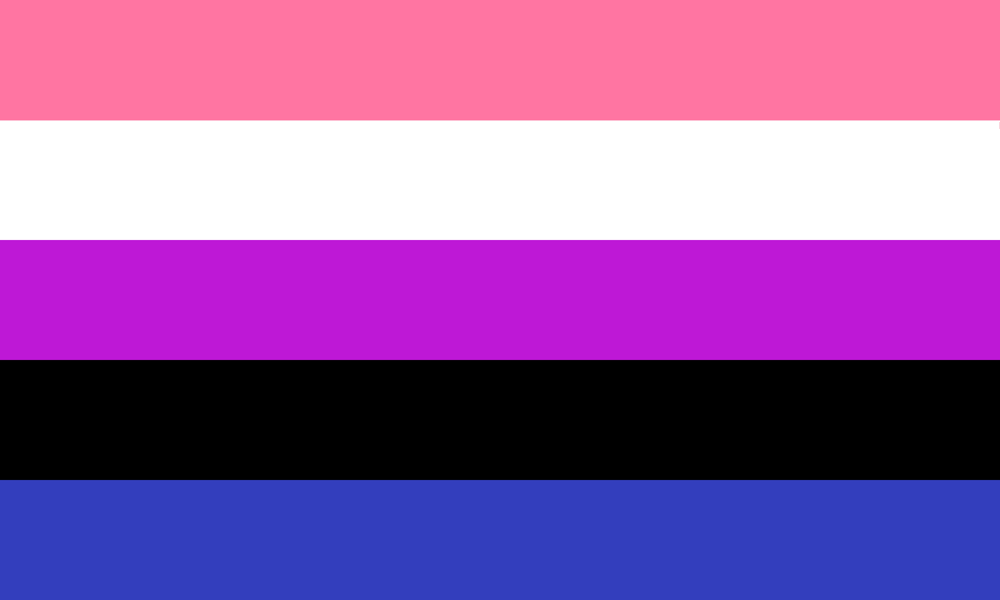 The Pansexual Flag | Empty Closets