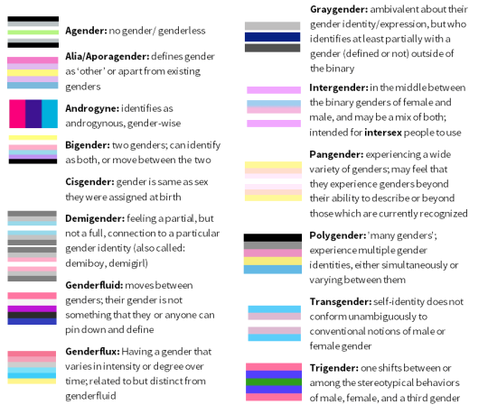 A Gender Identity And Sexualromantic Orientation Chart Empty Closets 