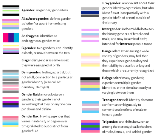 A Gender Identity And Sexualromantic Orientation Chart Empty Closets